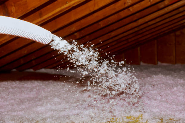 Best Local Insulation Services  in Canton, IL