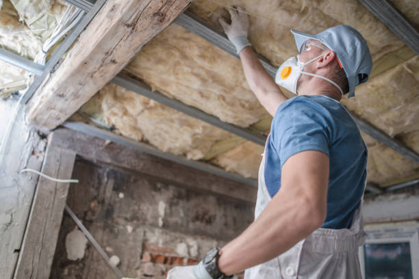 Best Spray Foam Insulation  in Canton, IL