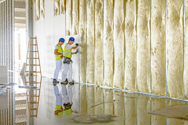 Best Insulation for New Construction  in Canton, IL